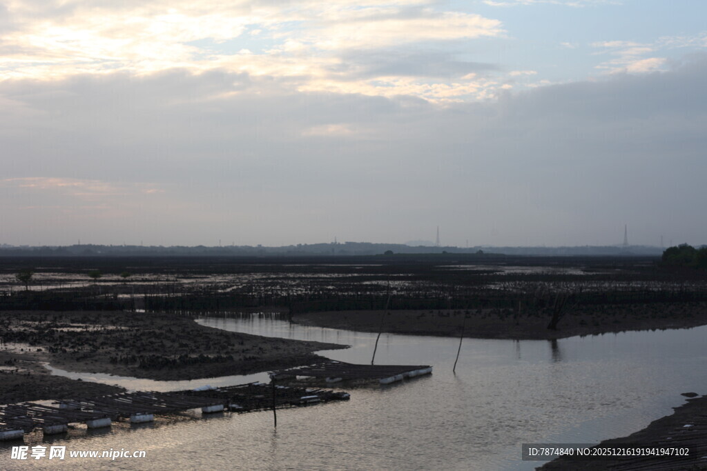 黄昏下的河畔湿地景观