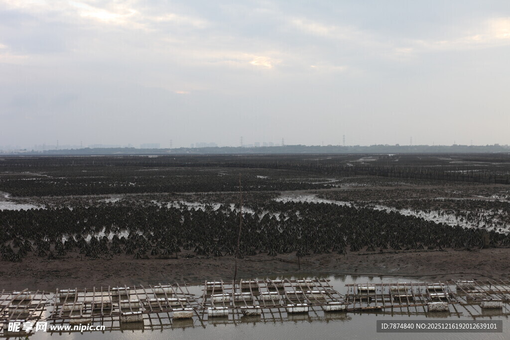 俯瞰广袤原野与稀疏建筑