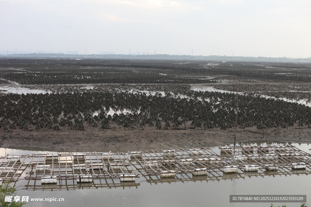 海岸边的湿地与停泊船只