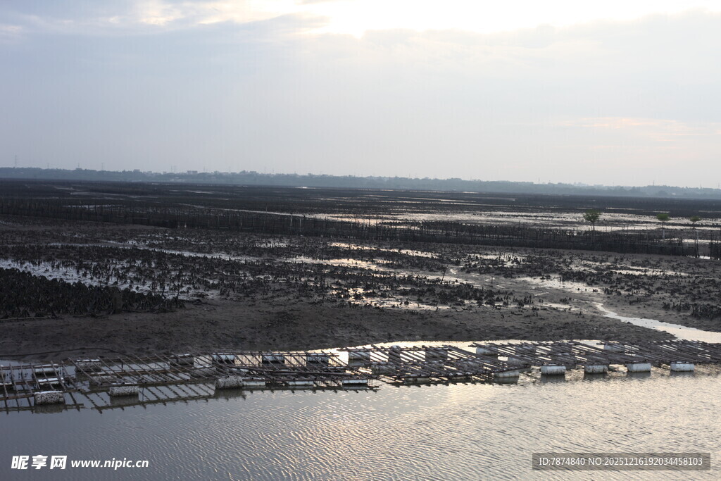 俯瞰广袤大地与水域景观