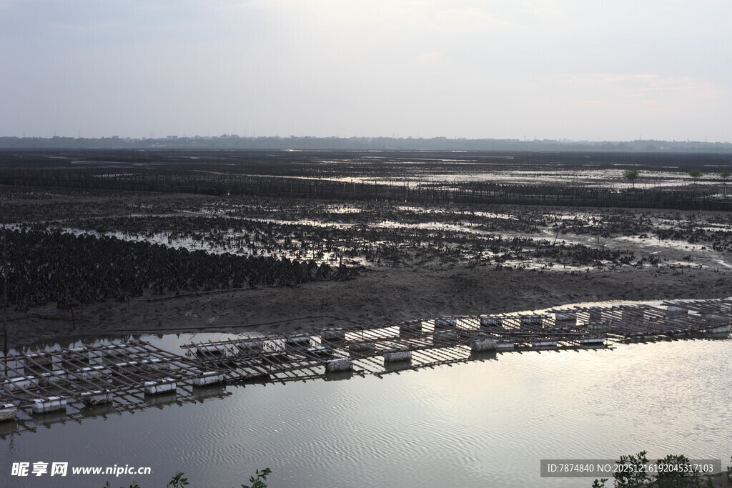 俯瞰广袤水域与周边地貌