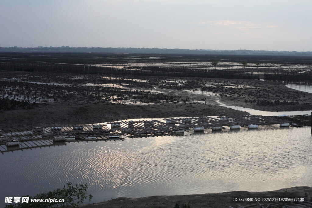 俯瞰河流与沿岸景观