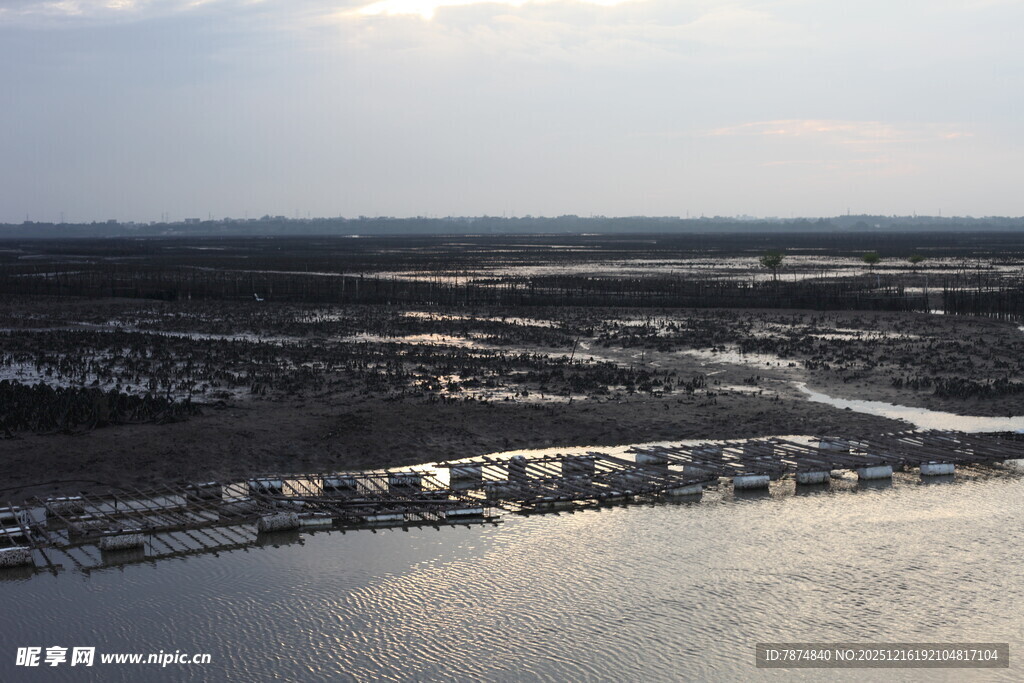 俯瞰水域旁的城市景观
