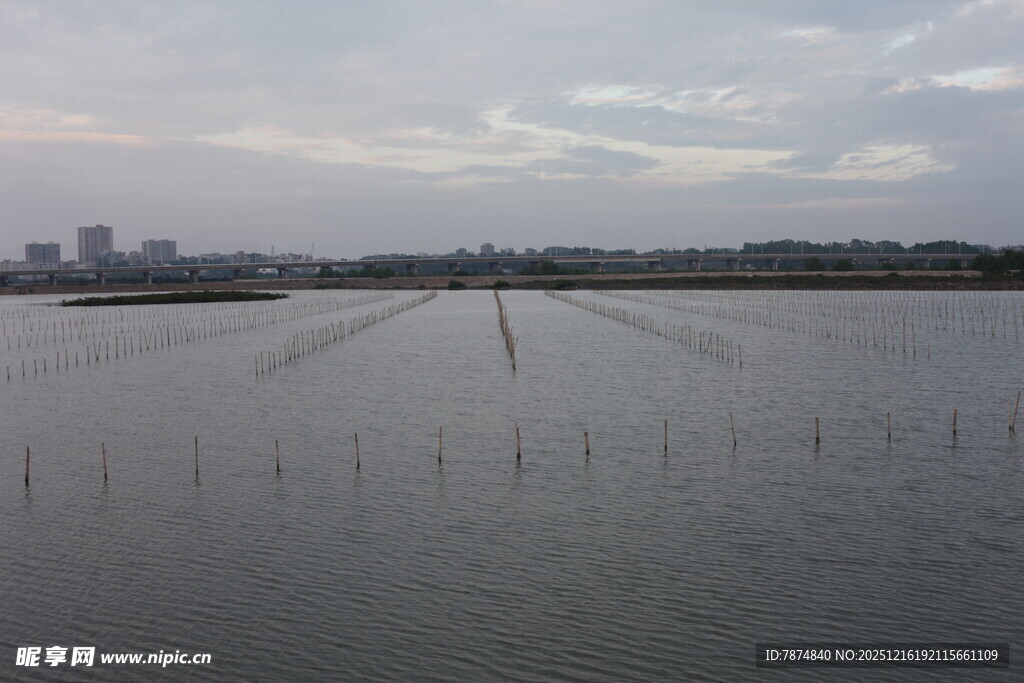 广阔水域与远处城市景观