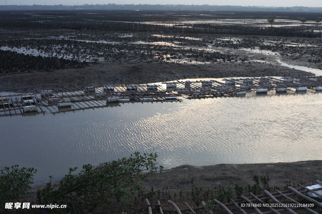 俯瞰河畔错落有致的建筑