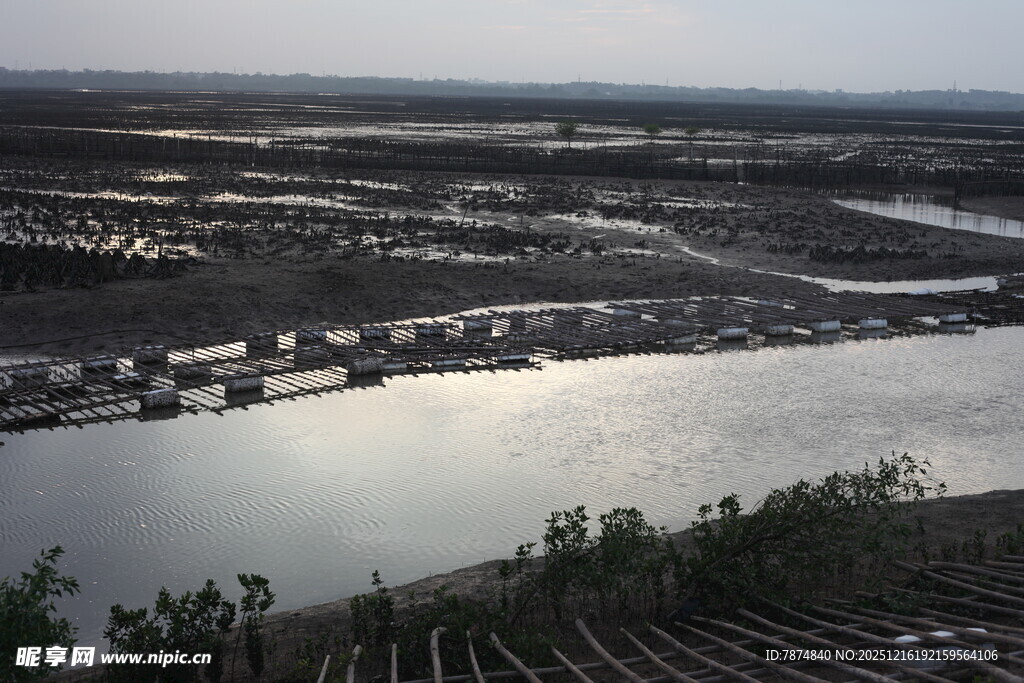 俯瞰河流与沿岸景观