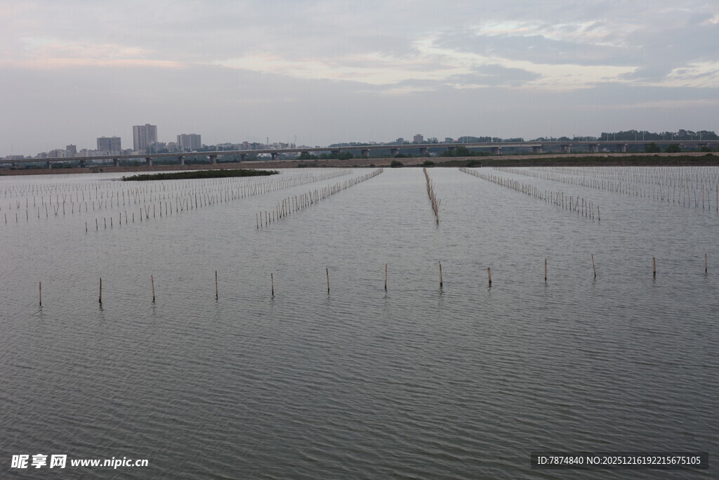 广阔水域与远处城市景观