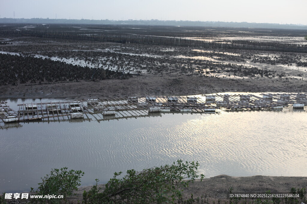 河畔停泊船只的宁静景象