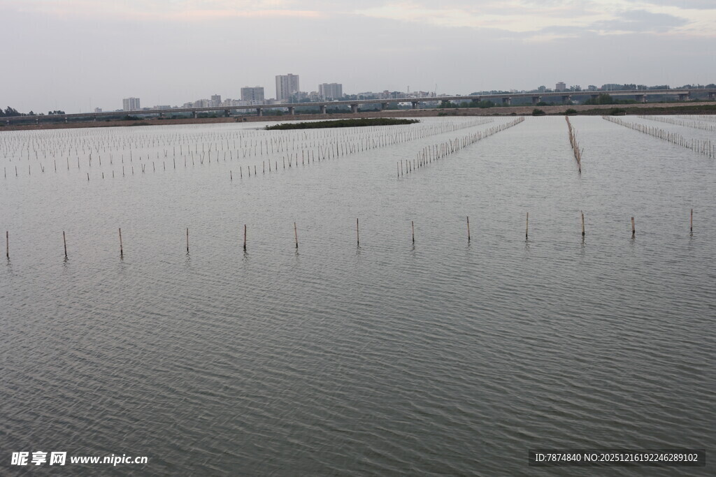 宽阔水域与远处城市景观