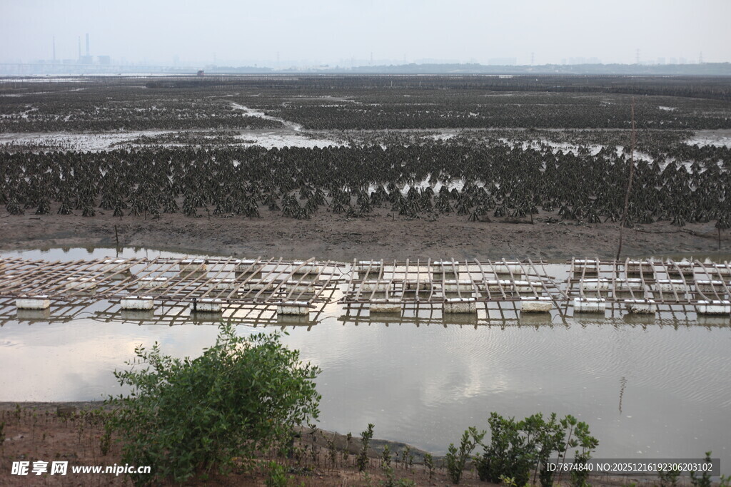 乡村水域边的建筑景观