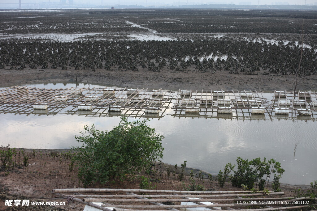 俯瞰宁静湖泊与周边景致