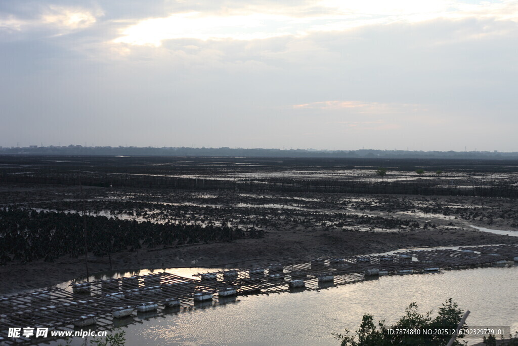 俯瞰水域与岸边景观