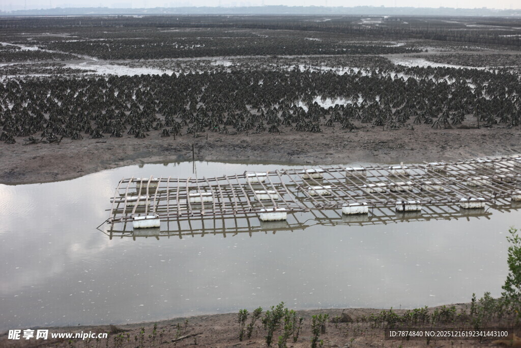 俯瞰水上养殖设施景观