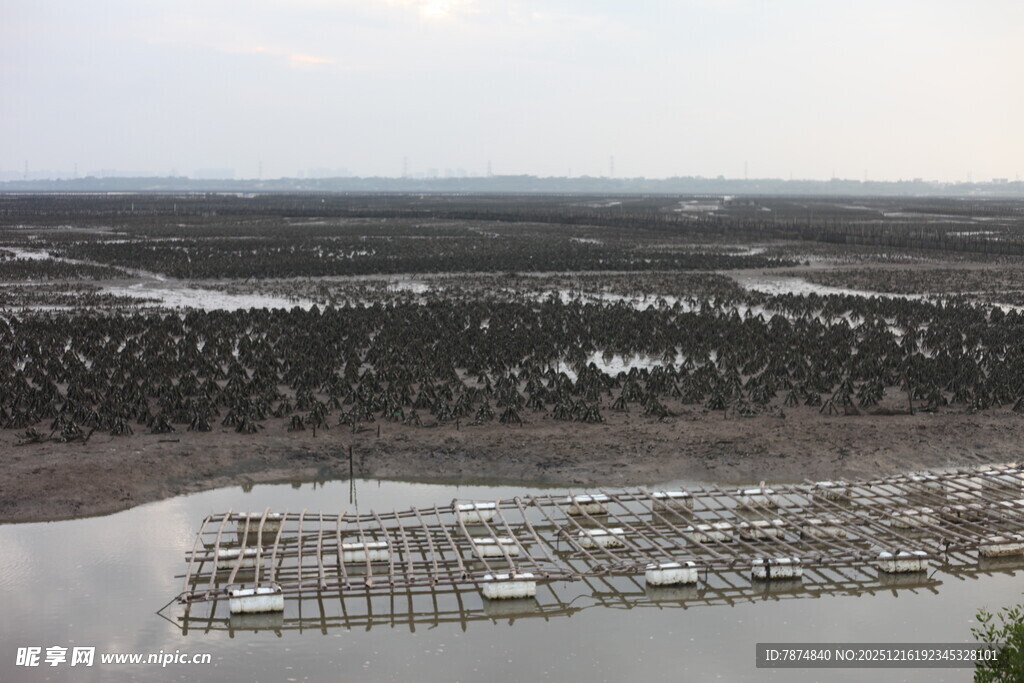 俯瞰水边码头与茂密树林