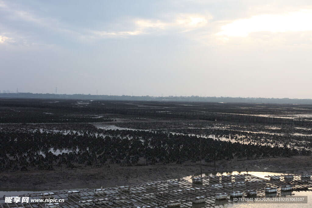 广袤原野上的壮丽天空景观