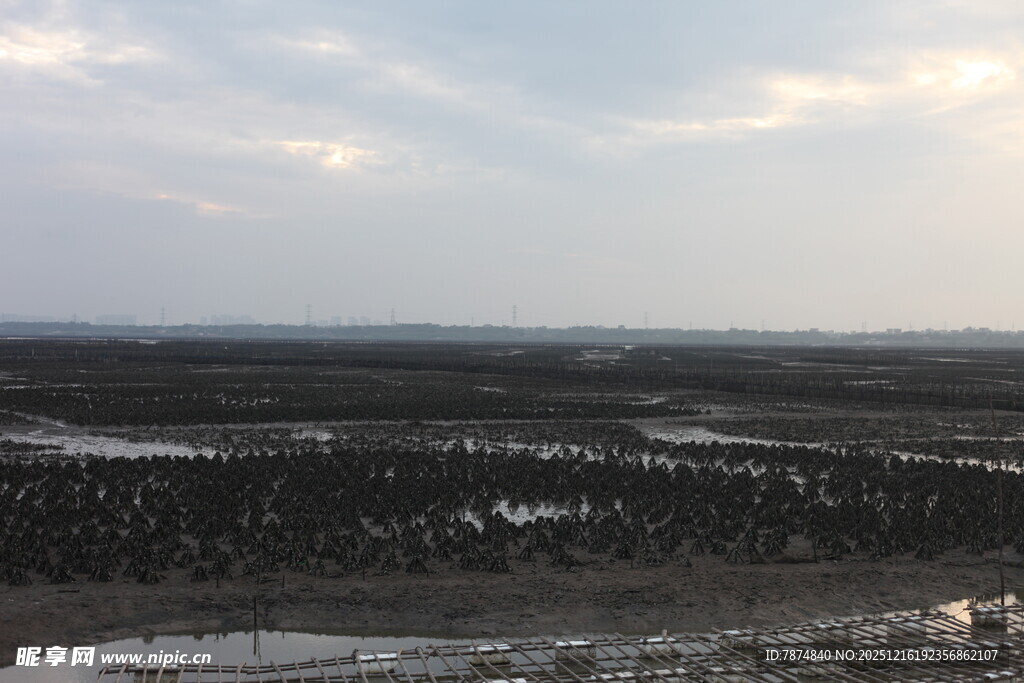广袤原野的壮丽天际景观