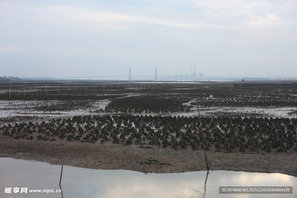 滩涂湿地景观