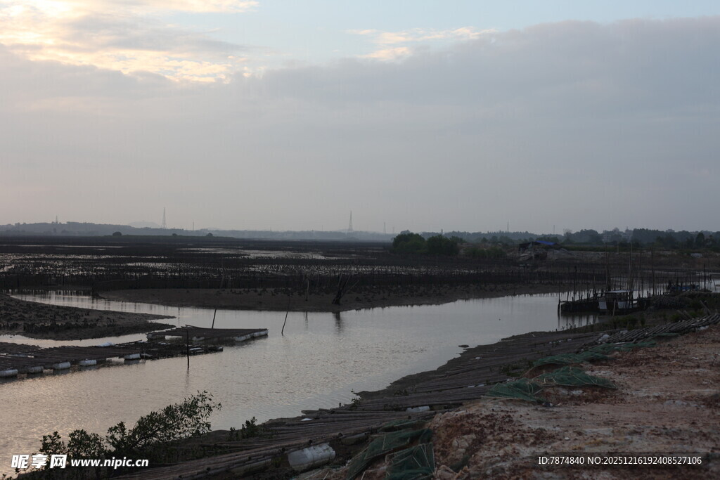 黄昏下的湿地景观