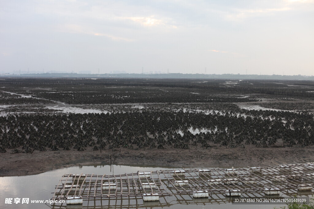俯瞰广袤开阔的自然景观