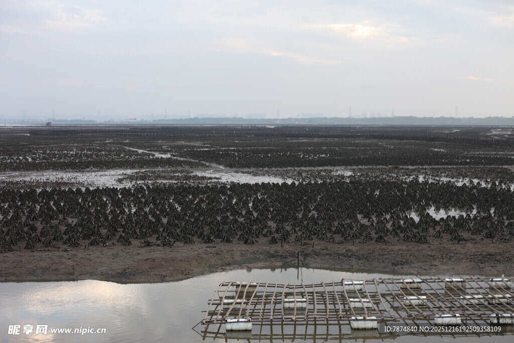 俯瞰水域旁的建筑景观