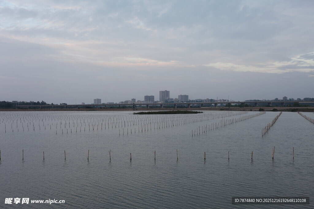 广阔水域与远处城市景观