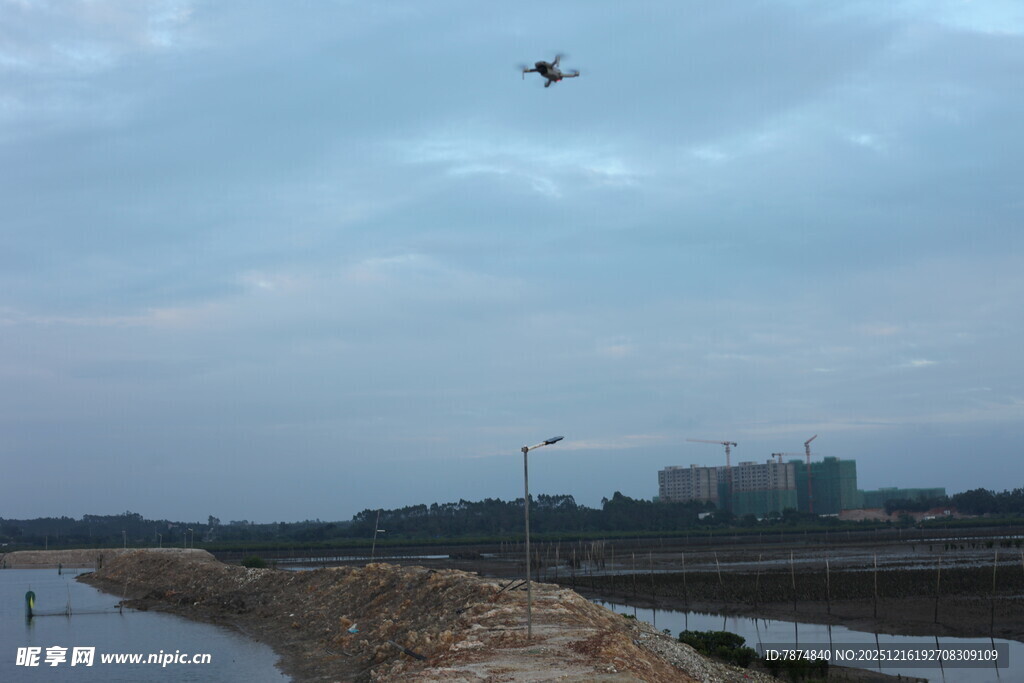 天空中飞翔的鸟与水域景色