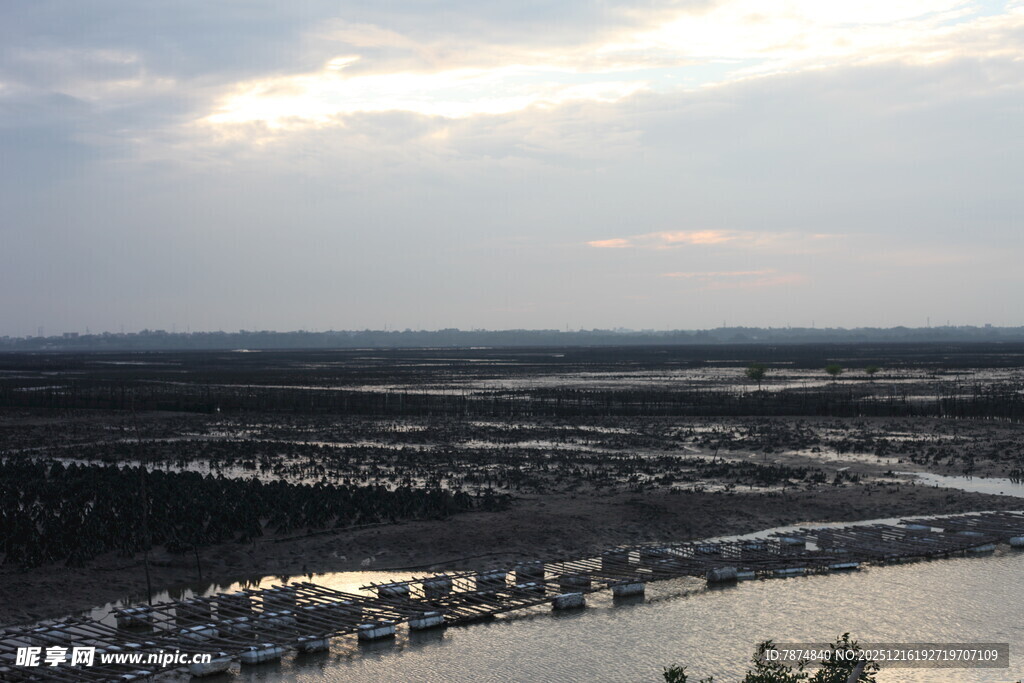 俯瞰水域旁的广袤区域