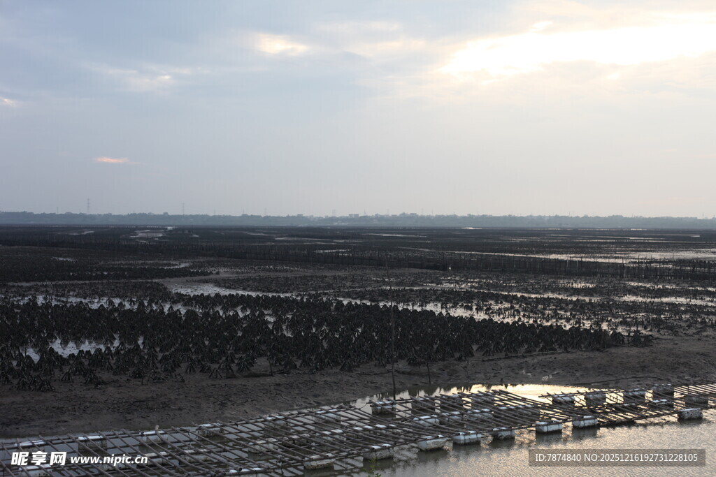 俯瞰广袤田野与天际线