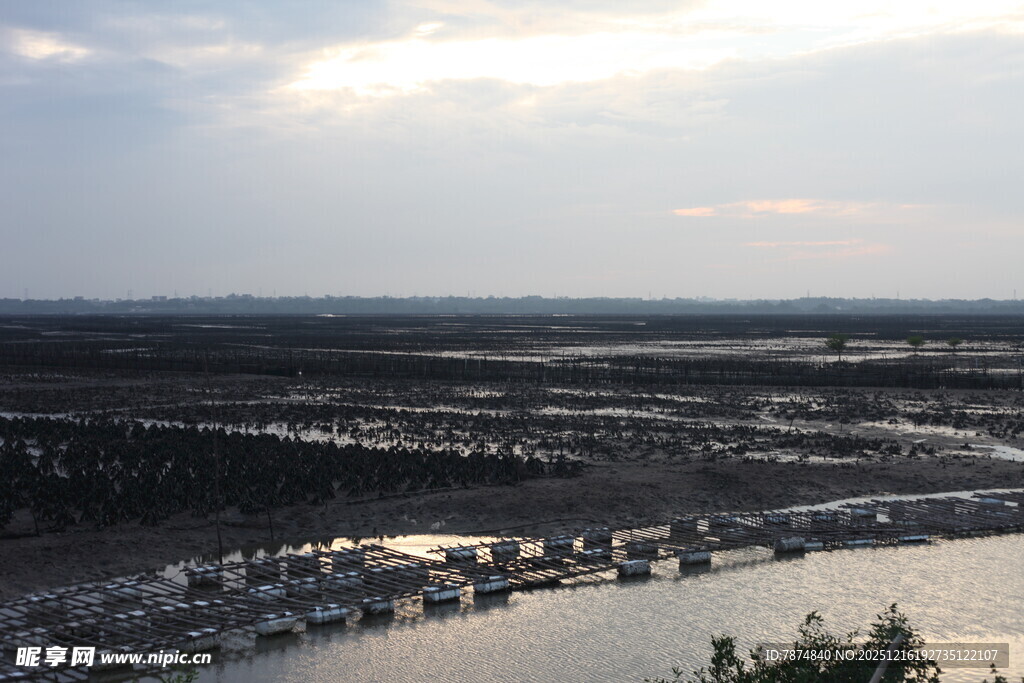 俯瞰城郊湿地景观