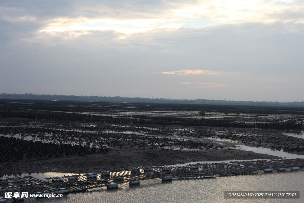 俯瞰水边城镇景观