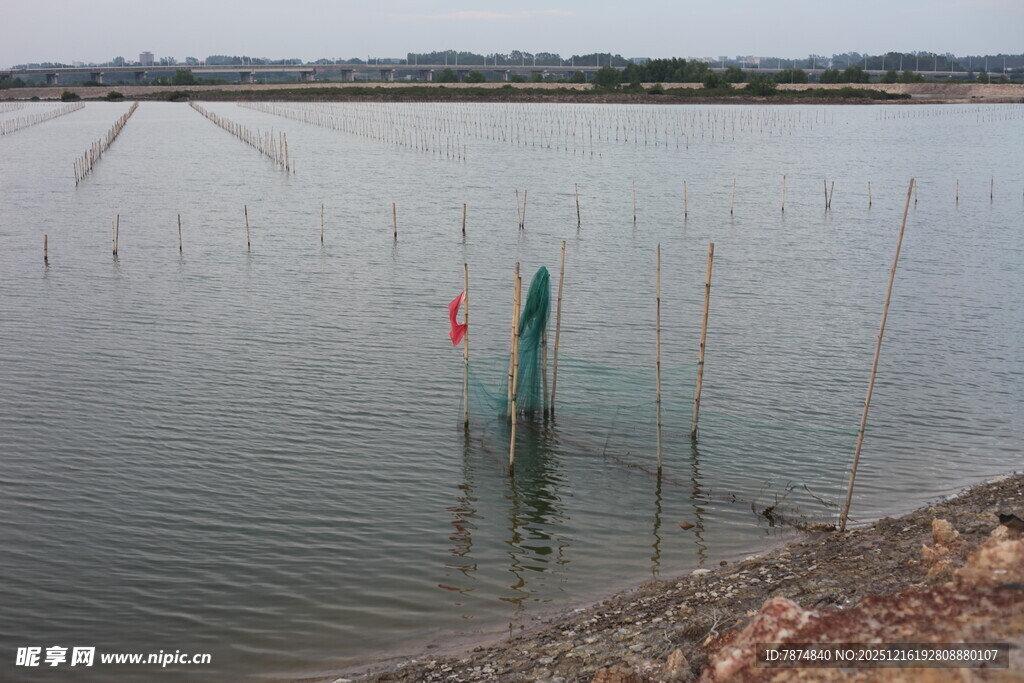 水域中的绿色装置及浮标