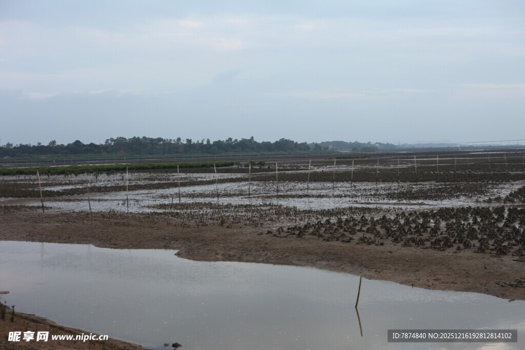 水田风光 远处村落隐约可见