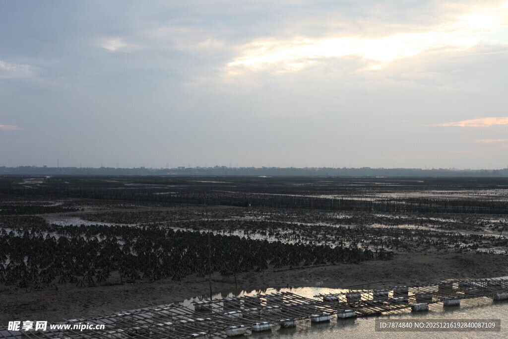 黄昏下的湿地景观