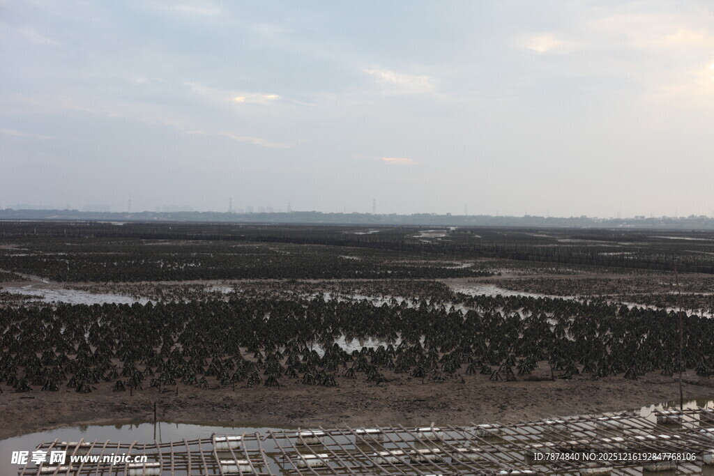 冬日广袤原野景观