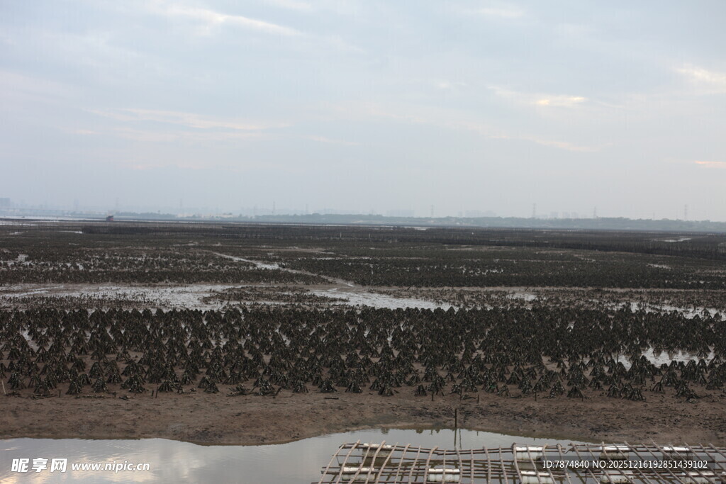 冬日田野俯瞰景观