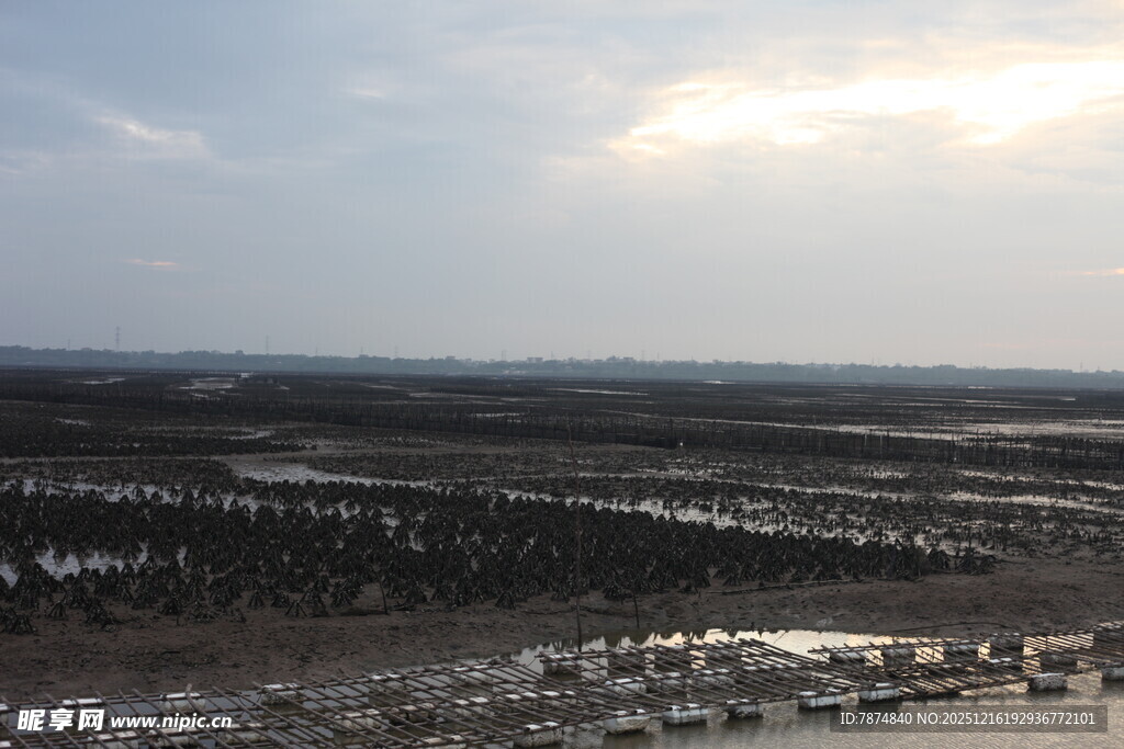 广阔原野上的天际线景观
