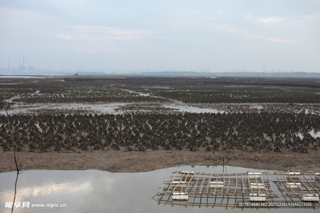 俯瞰广袤湿地景观