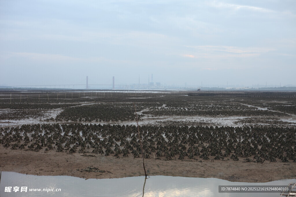 滩涂养殖场景