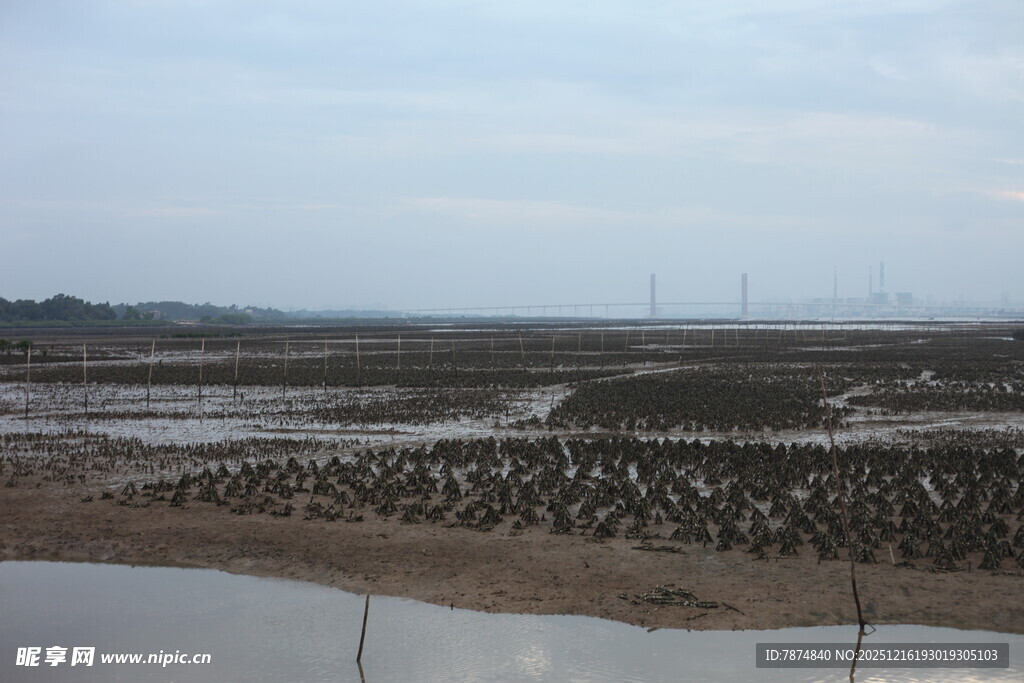 滩涂养殖场景