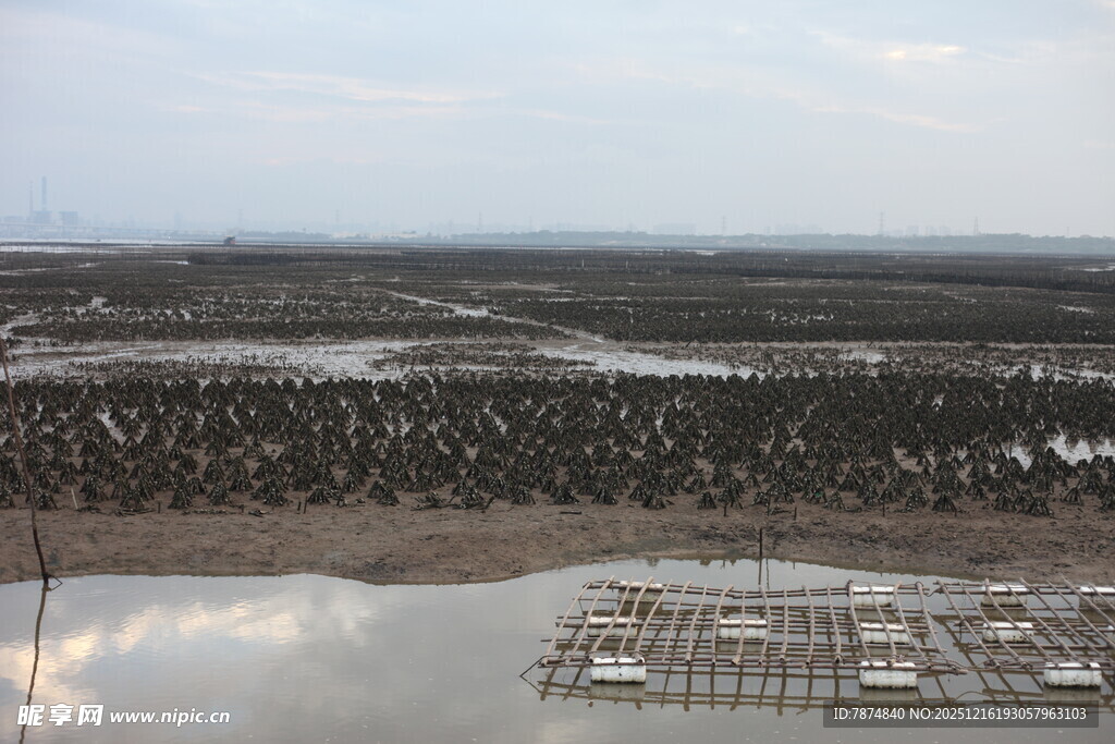 俯瞰湿地与水上建筑景观