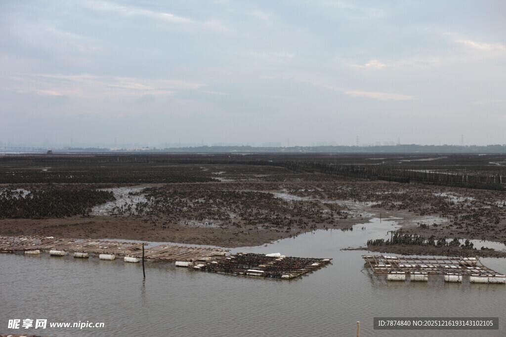 俯瞰水域旁的建筑景观