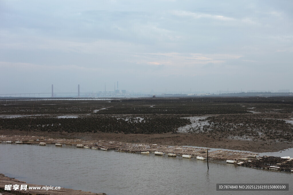 河边开阔地与远处风车景观