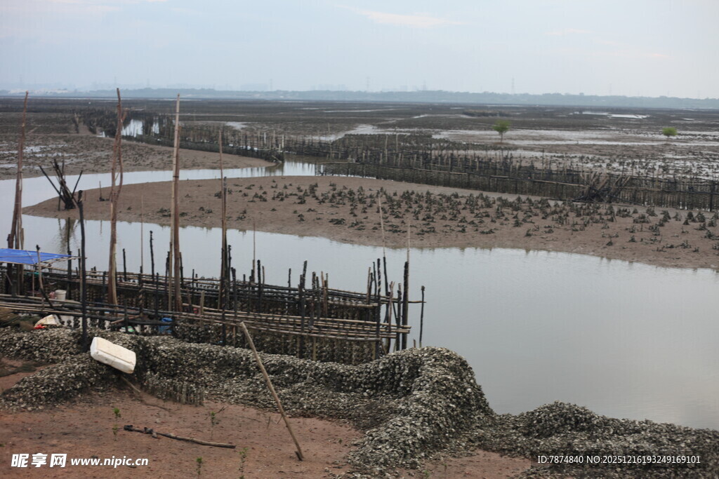 海边滩涂养殖场景