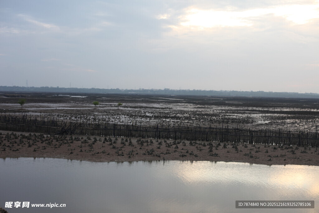 海边湿地风光