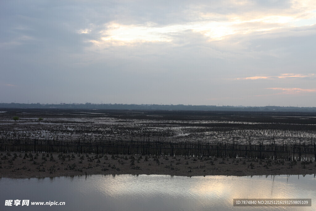 黄昏下的湿地静谧景象