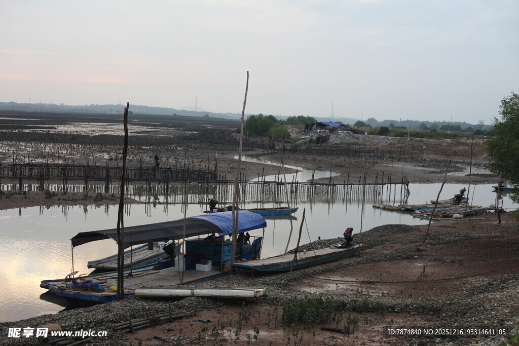 河畔停泊船只的宁静景象