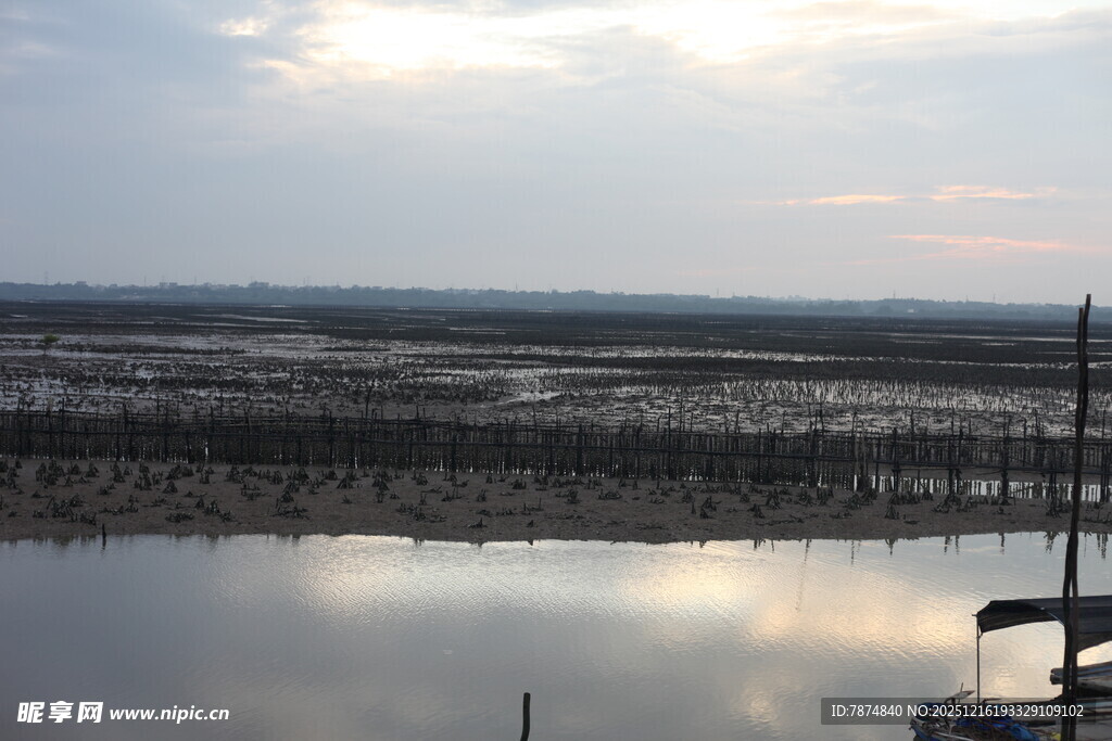 黄昏下宁静的水边景观