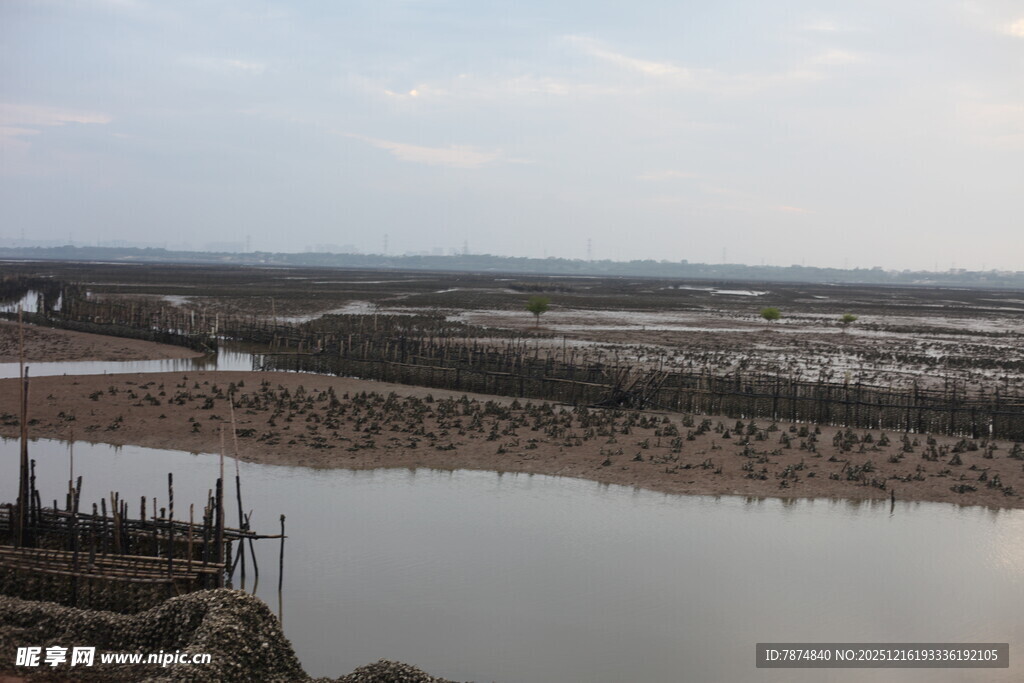 海边滩涂养殖景观