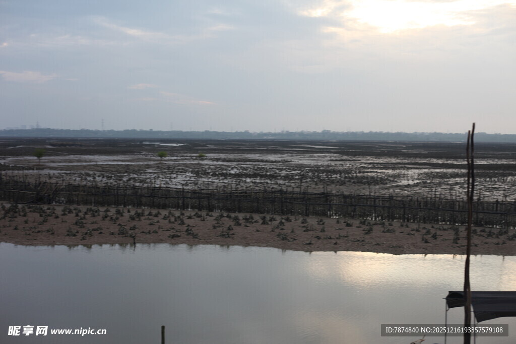 夕阳下的宁静滩涂水域