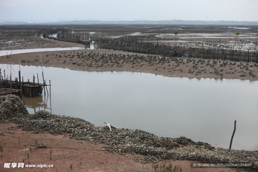 乡村水塘边的质朴景象